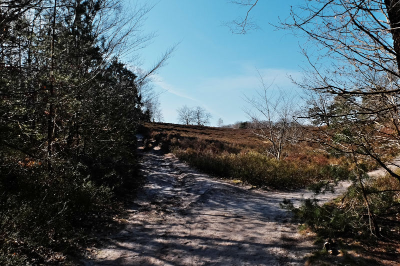 Zugang in die Fischbeker Heide