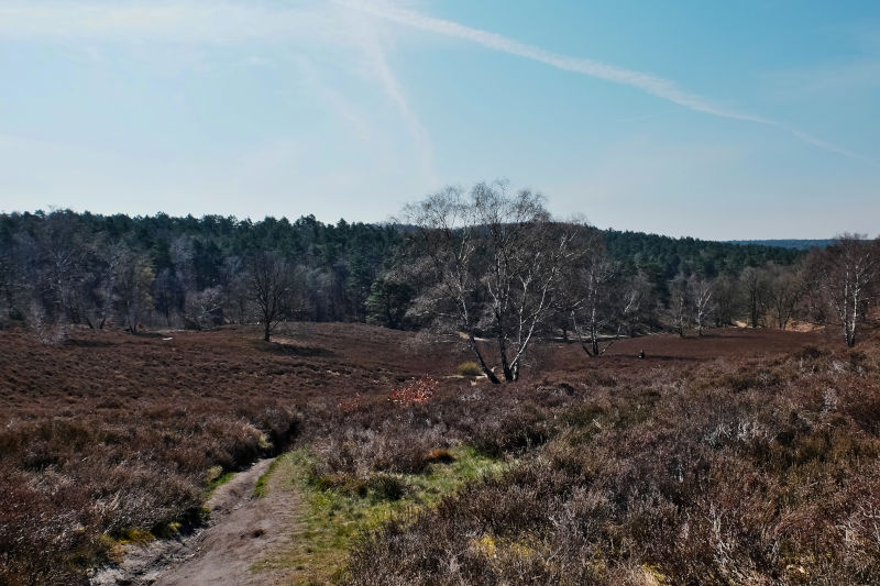 Ausblick auf die Fischbeker Heide