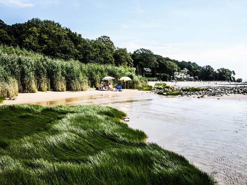 Idylle am Falkensteiner Ufer